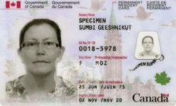 Image of a permanent resident card